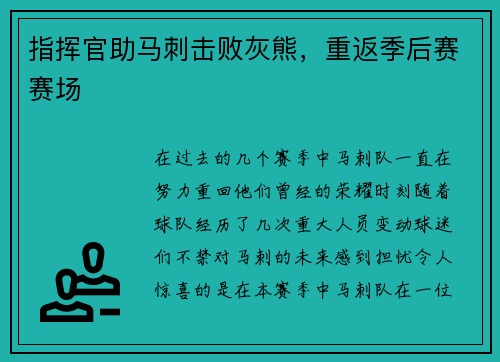 指挥官助马刺击败灰熊，重返季后赛赛场